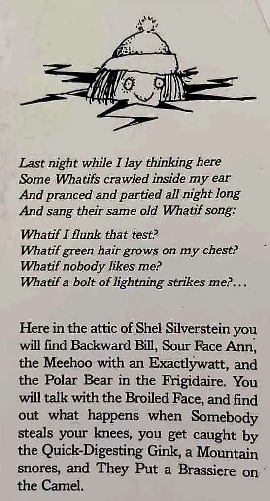 A LIGHT IN THE ATTIC - Shel Silverstein
