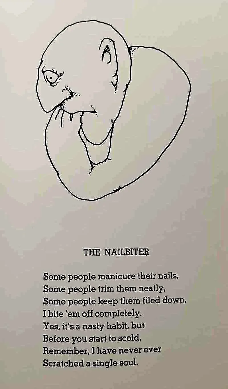 A LIGHT IN THE ATTIC - Shel Silverstein