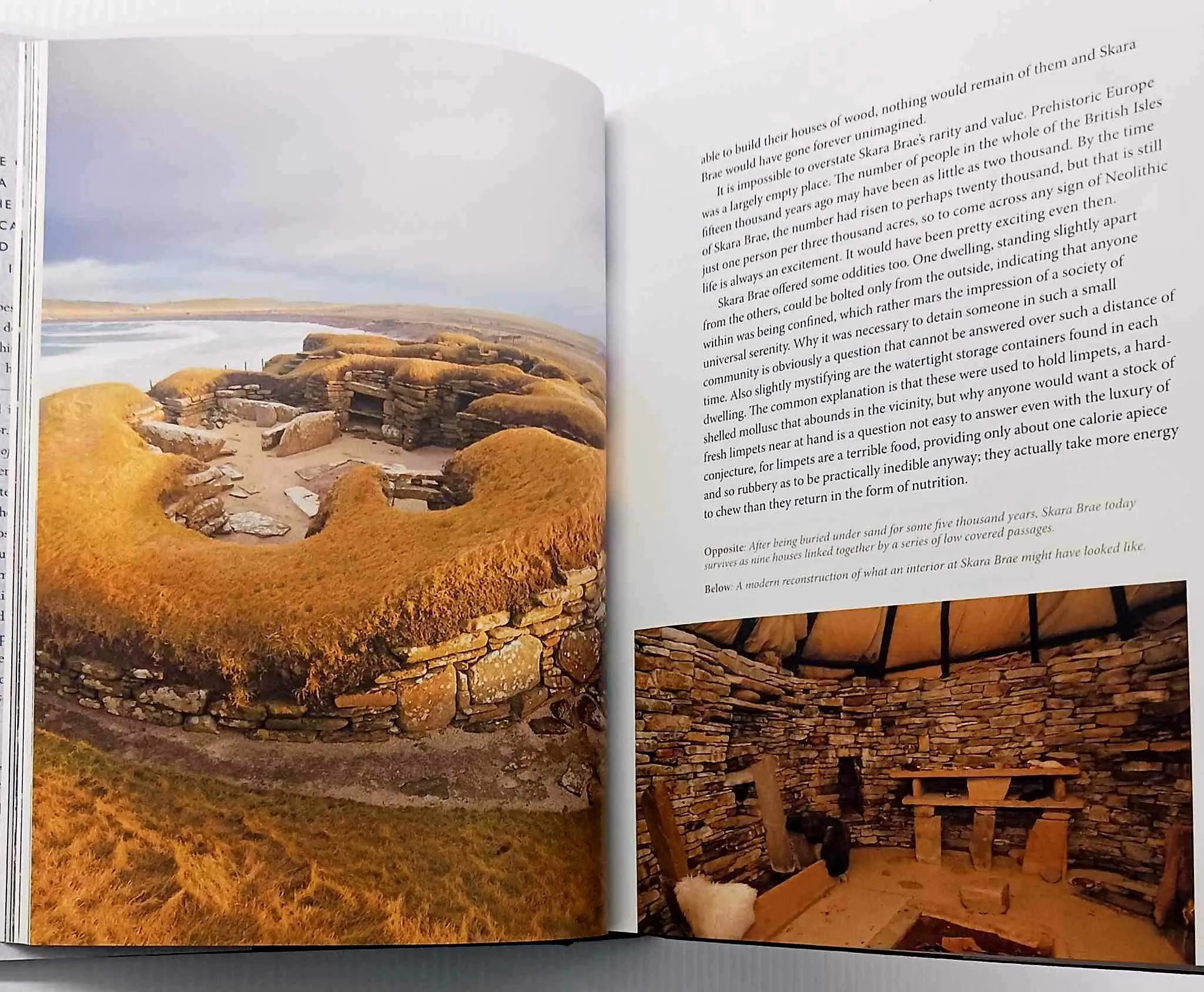 AT HOME - Bill Bryson