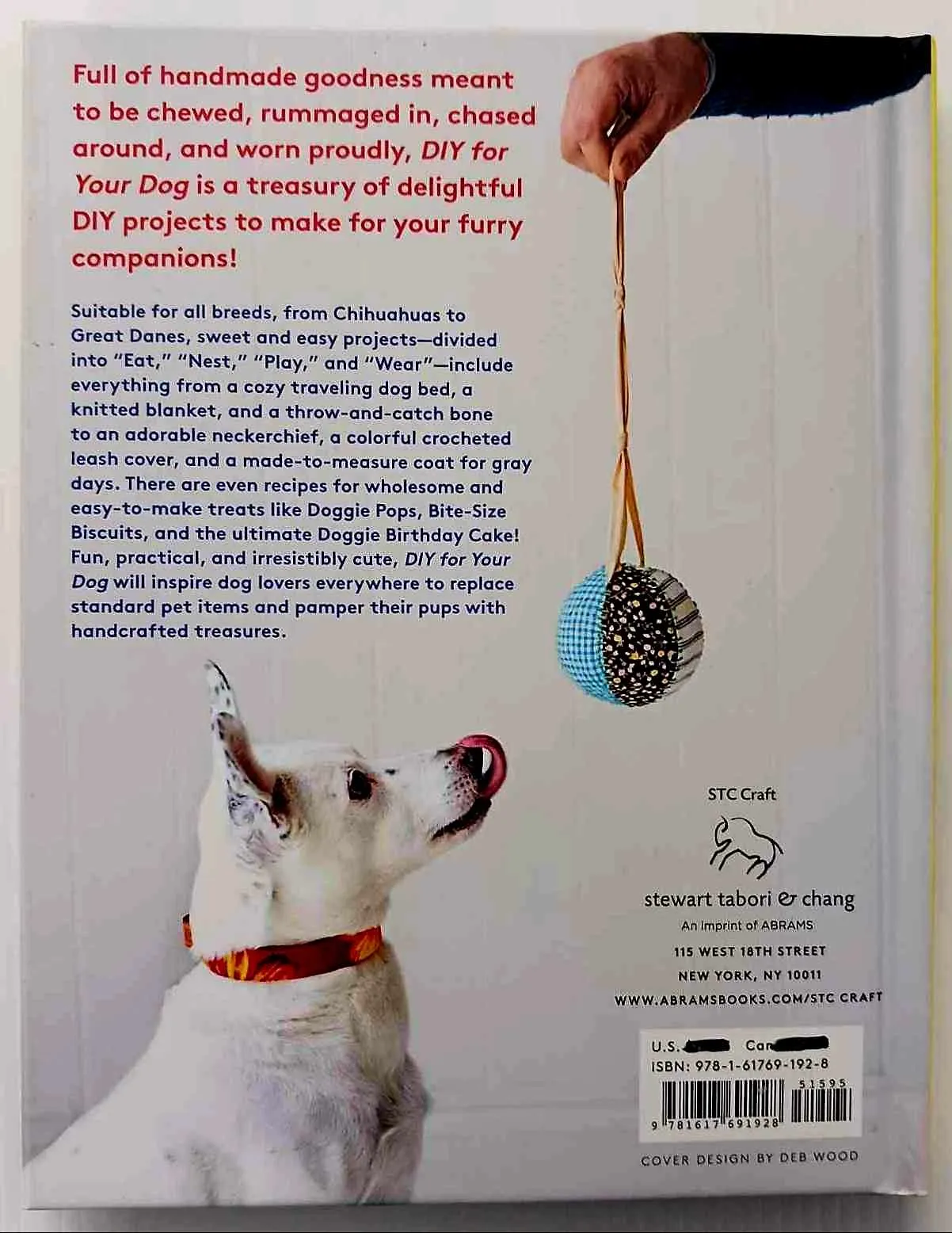 DIY FOR YOUR DOG - Rachelle Blondel