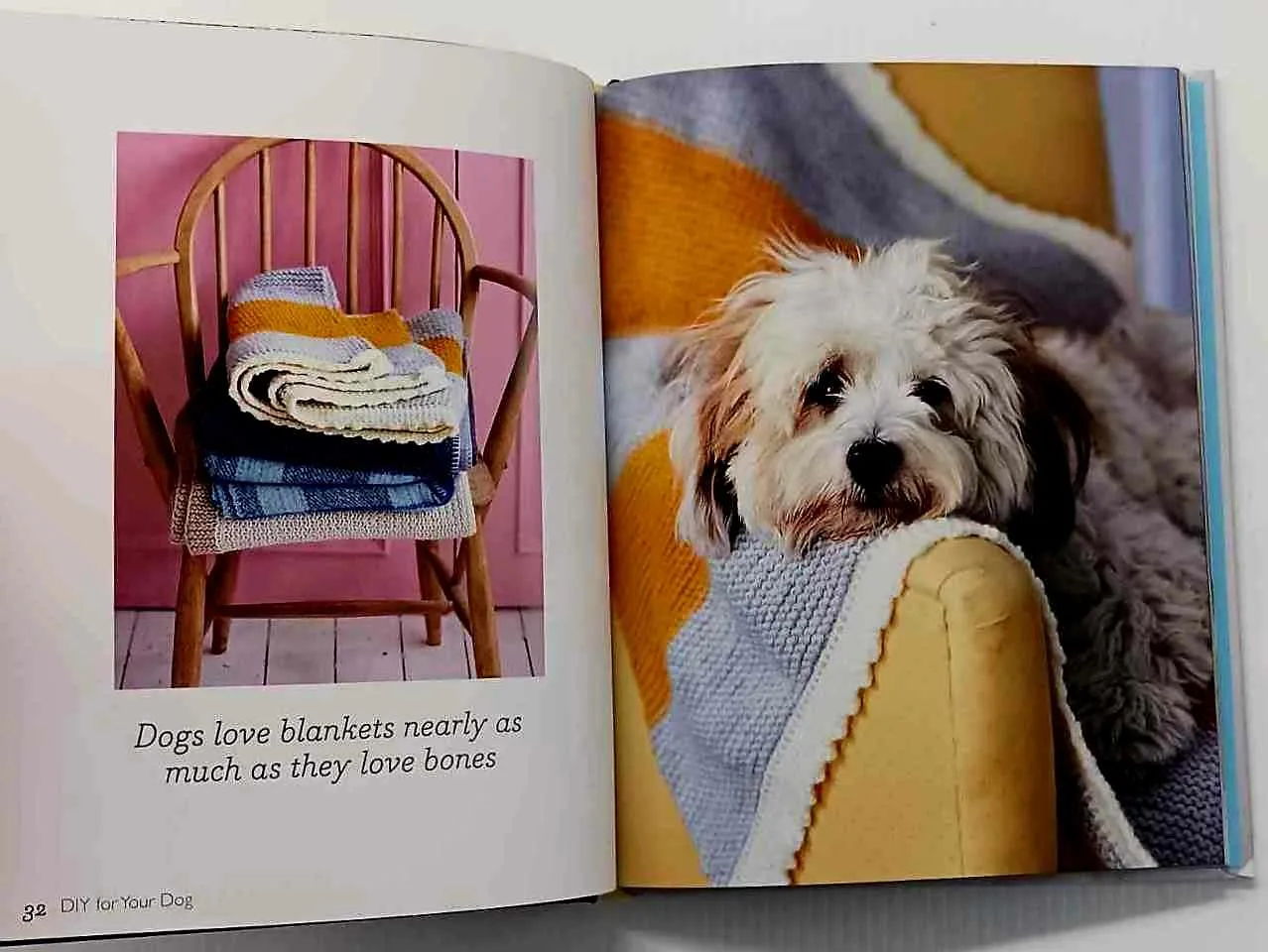 DIY FOR YOUR DOG - Rachelle Blondel