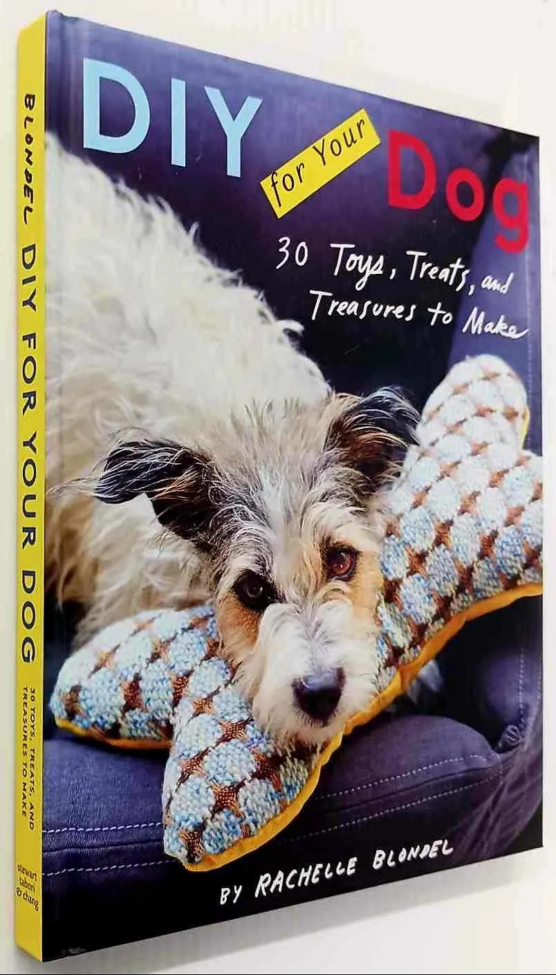 DIY FOR YOUR DOG - Rachelle Blondel