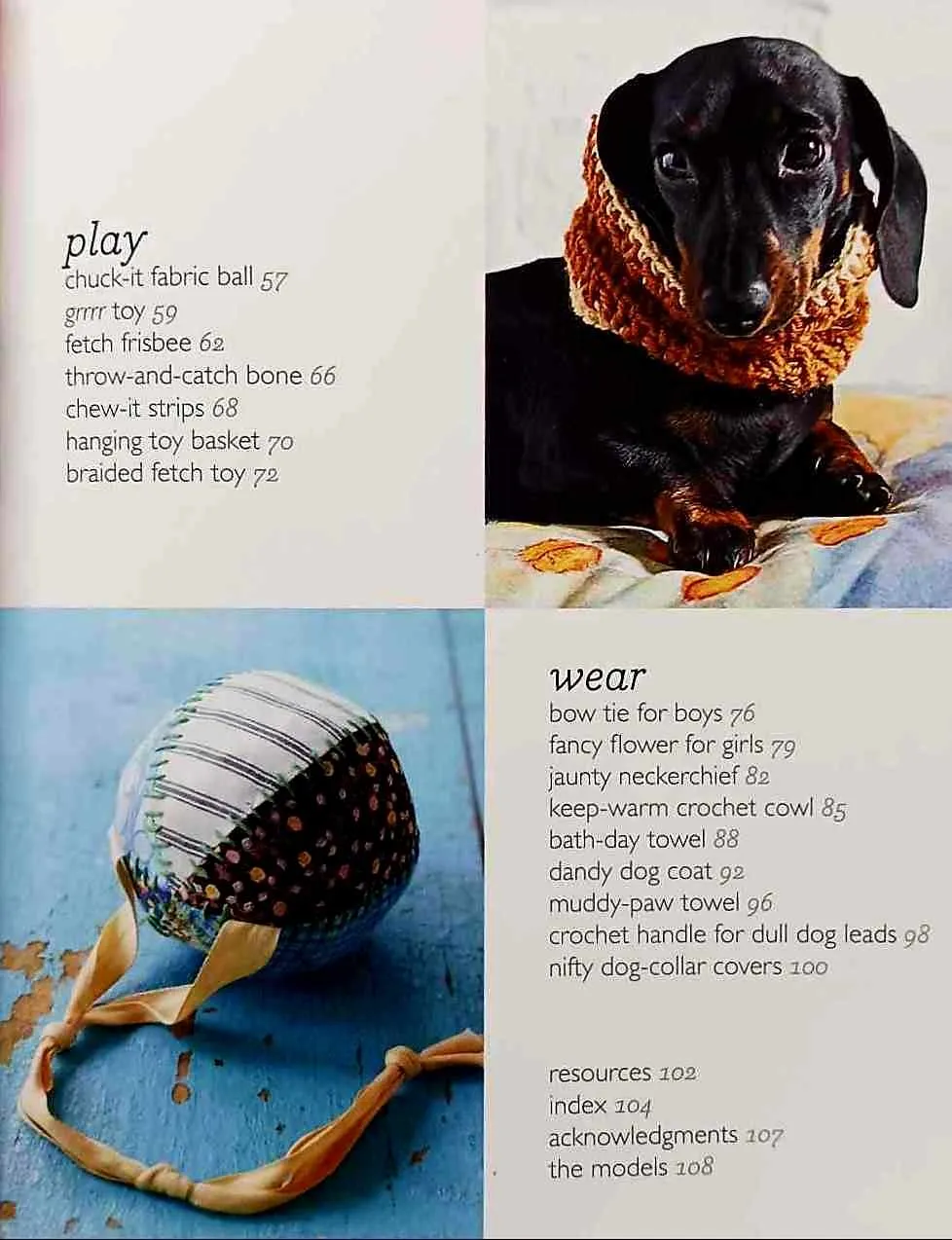 DIY FOR YOUR DOG - Rachelle Blondel