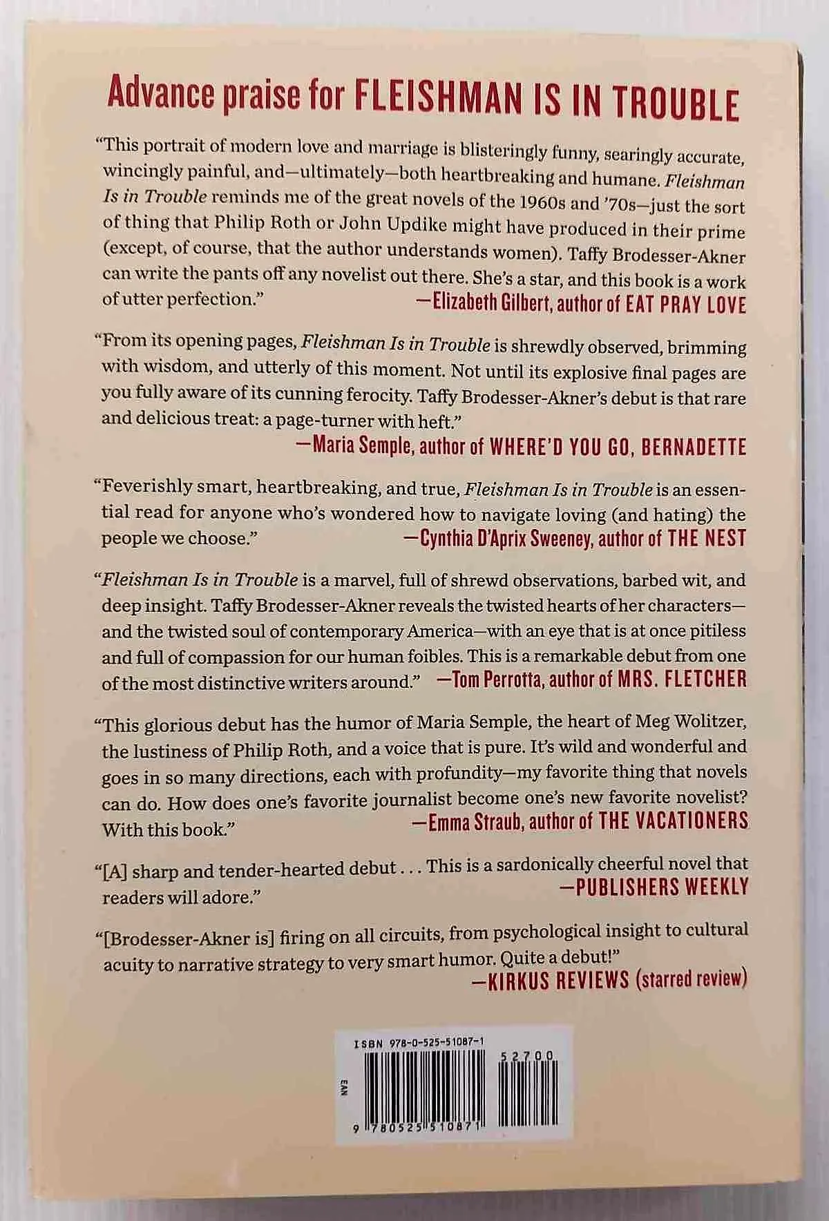 FLEISHMAN IS IN TROUBLE - Taffy Brodesser-Akner