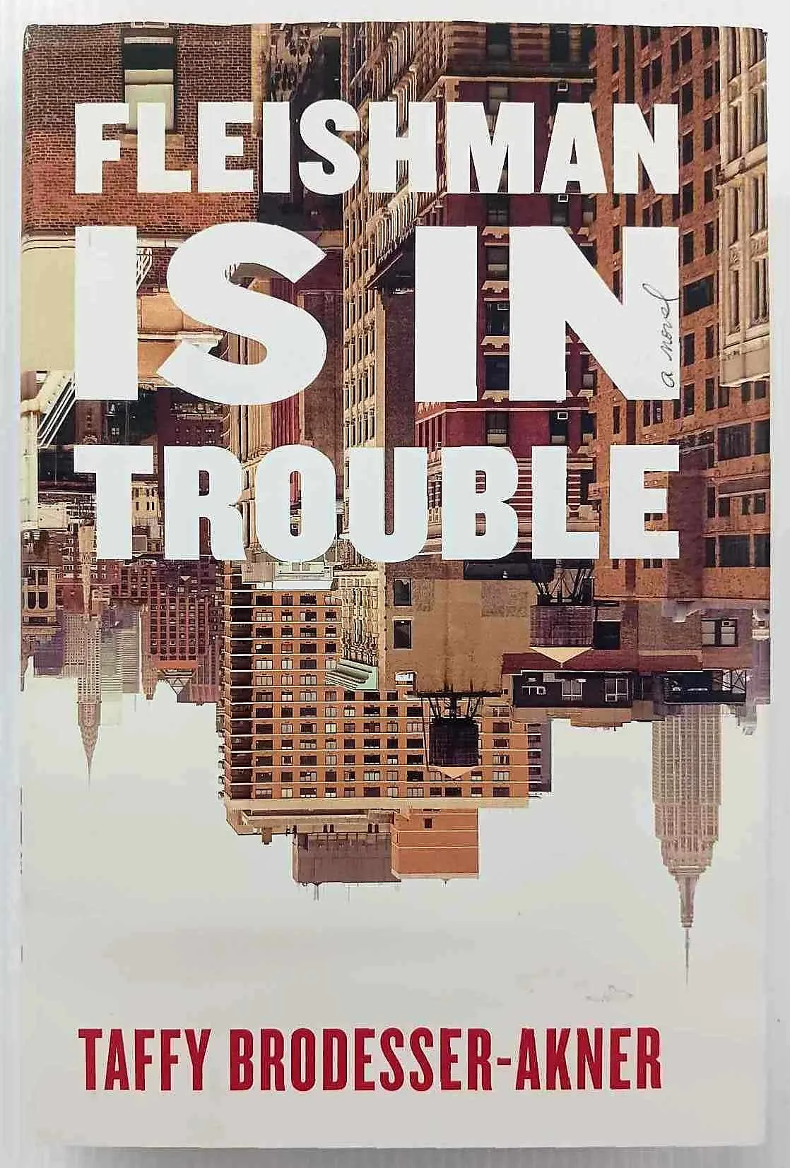 FLEISHMAN IS IN TROUBLE - Taffy Brodesser-Akner