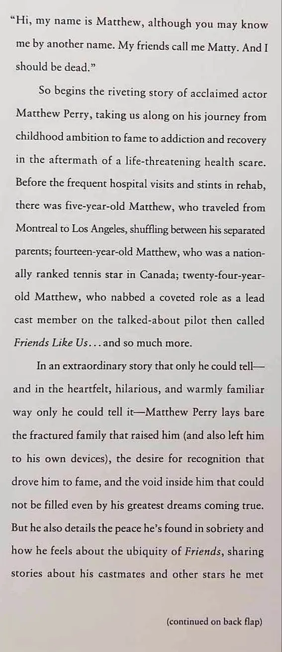 FRIENDS, LOVERS, AND THE BIG TERRIBLE THING - Matthew Perry