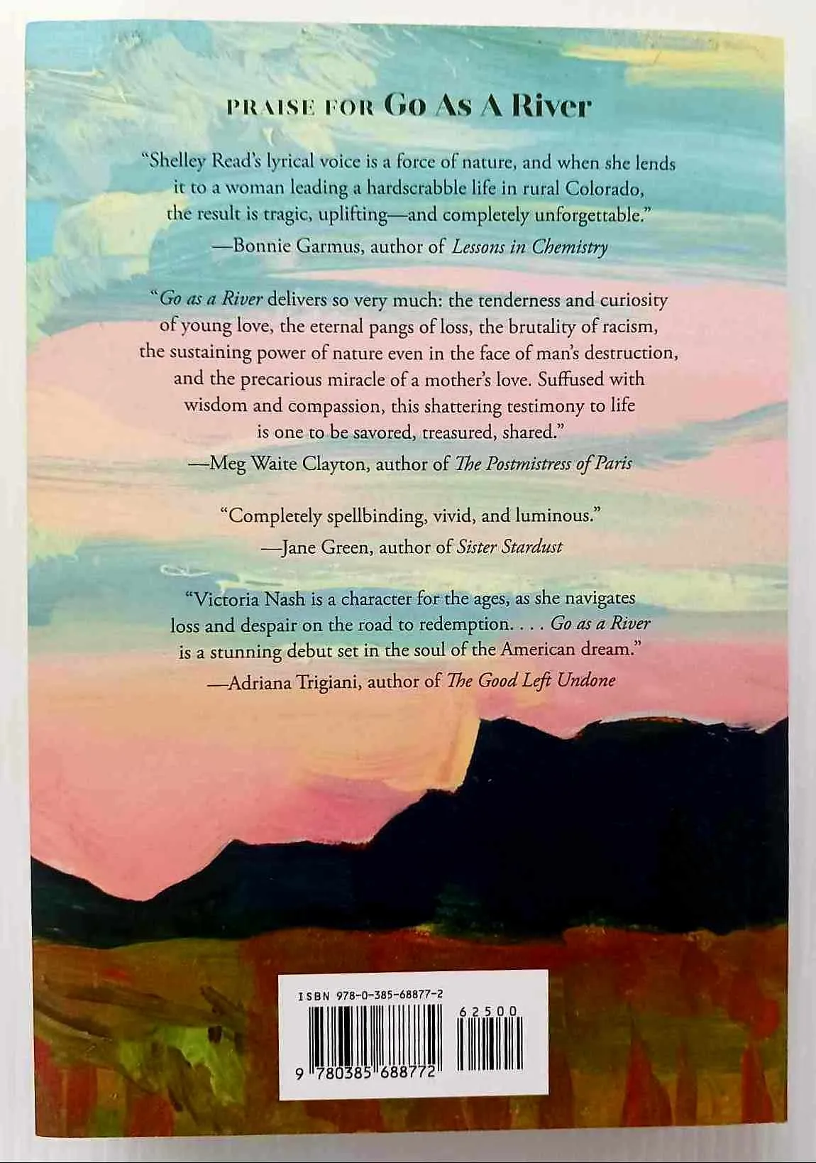 GO AS A RIVER - Shelley Read