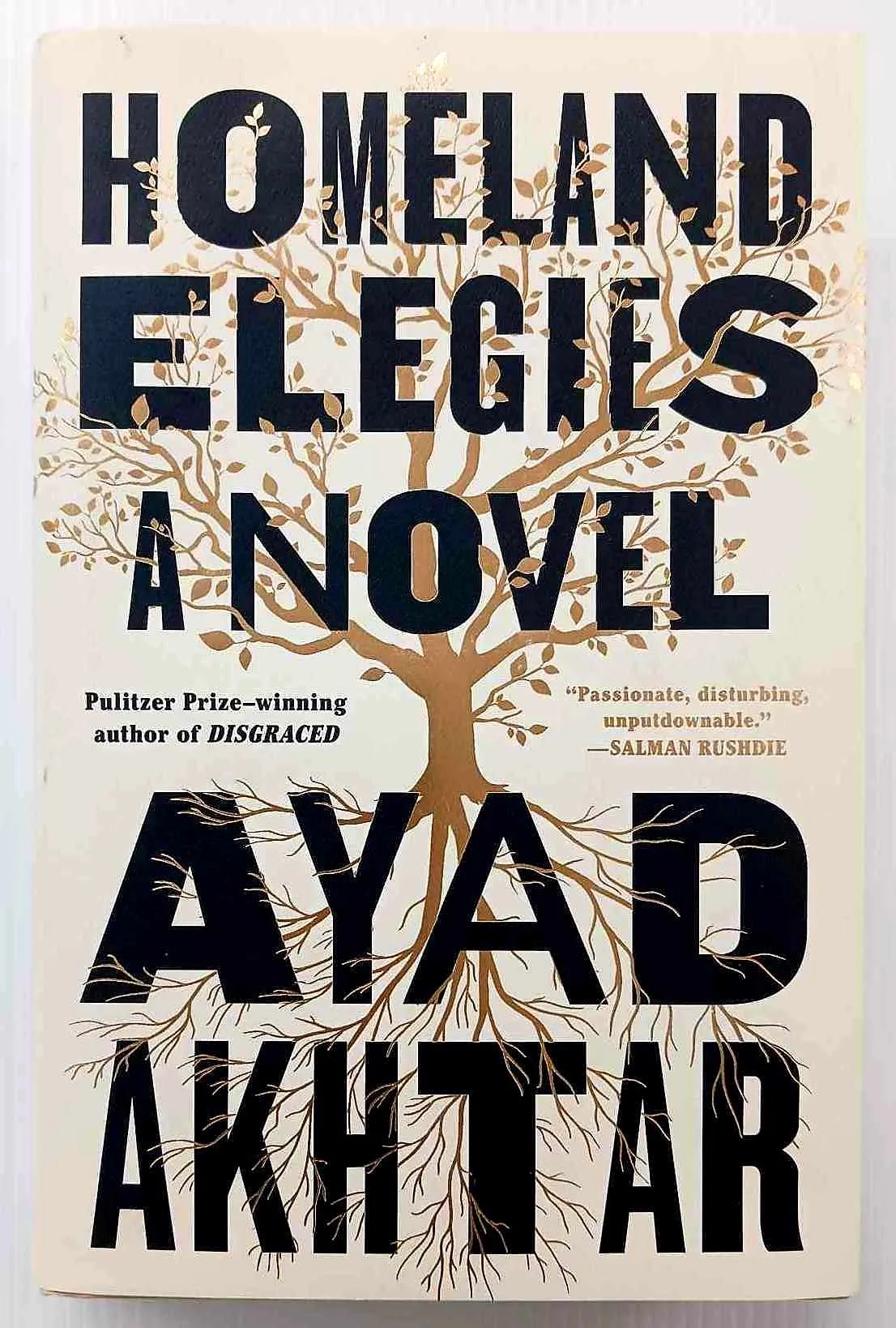 HOMELAND ELEGIES - Ayad Akhtar