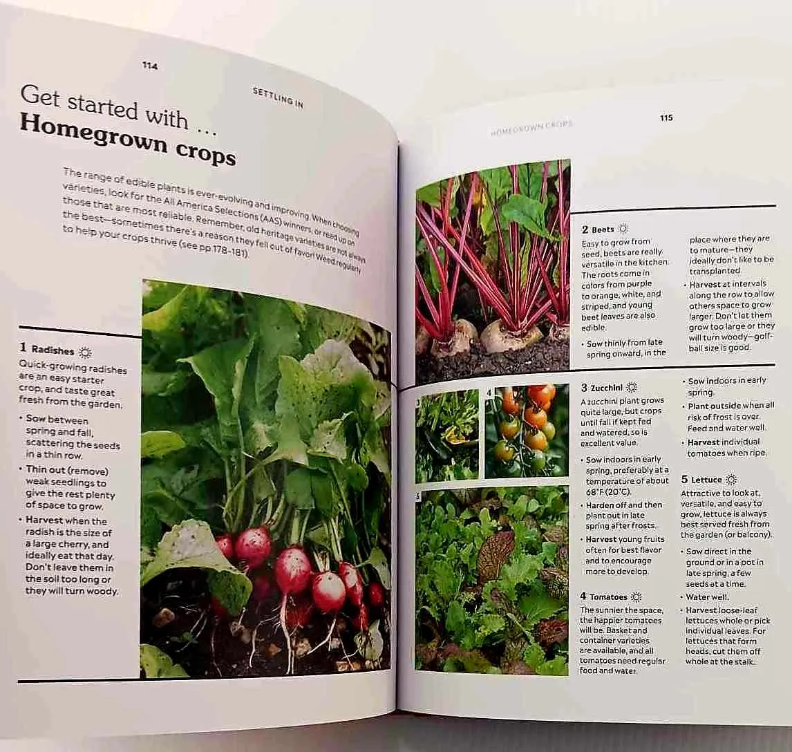 HOW TO GARDEN WHEN YOU RENT - Matthew Pottage