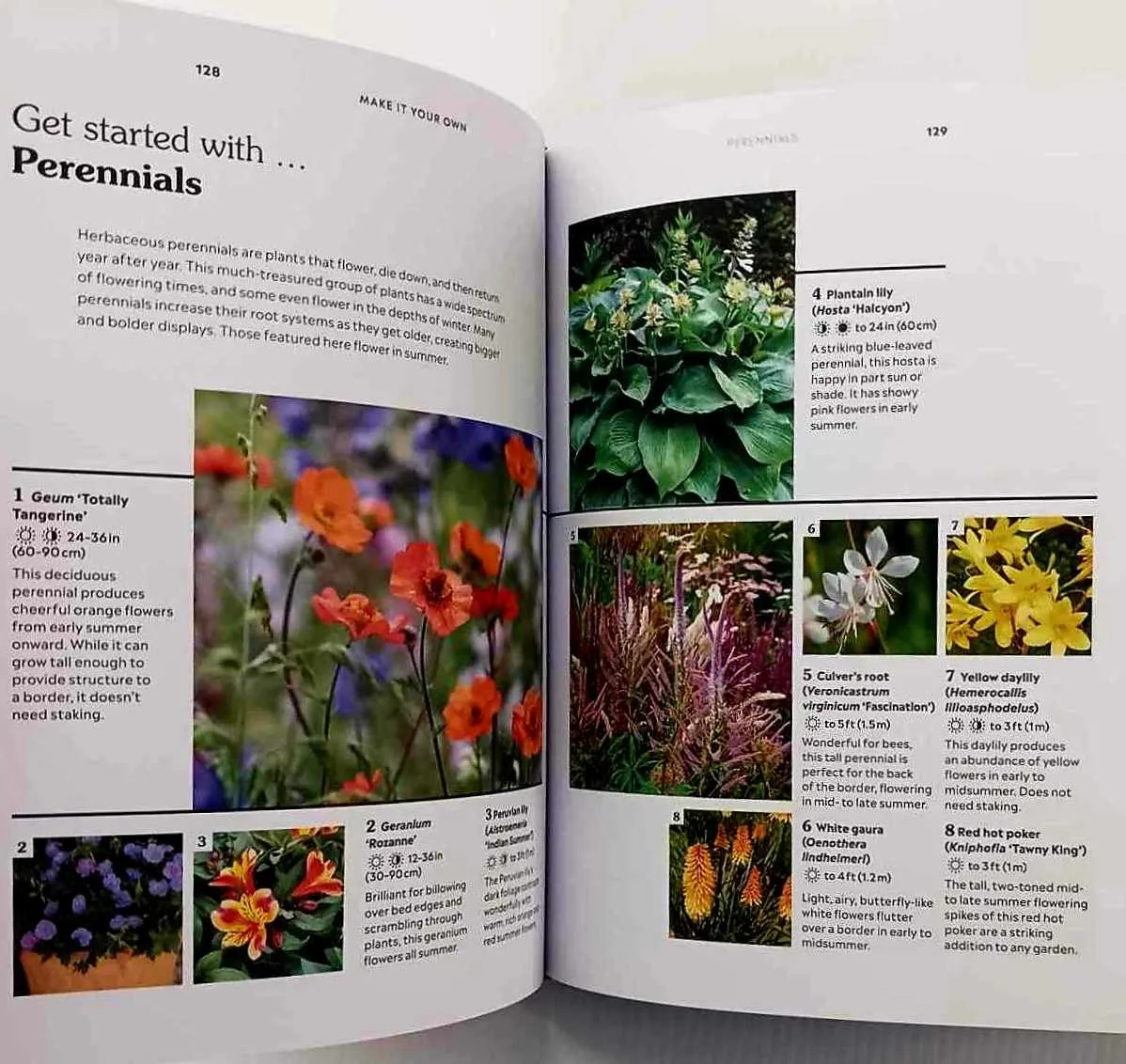 HOW TO GARDEN WHEN YOU RENT - Matthew Pottage