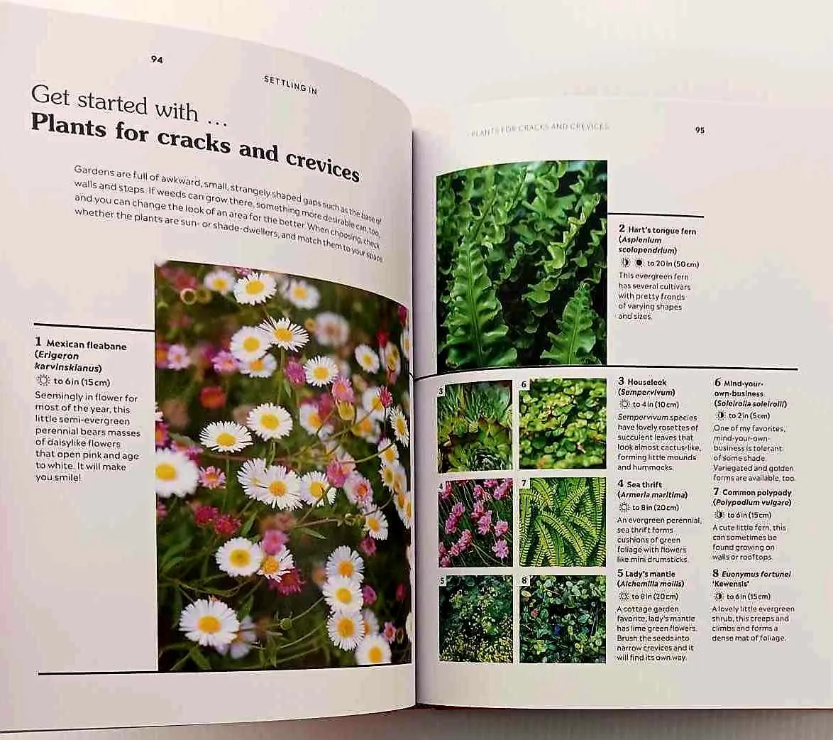 HOW TO GARDEN WHEN YOU RENT - Matthew Pottage