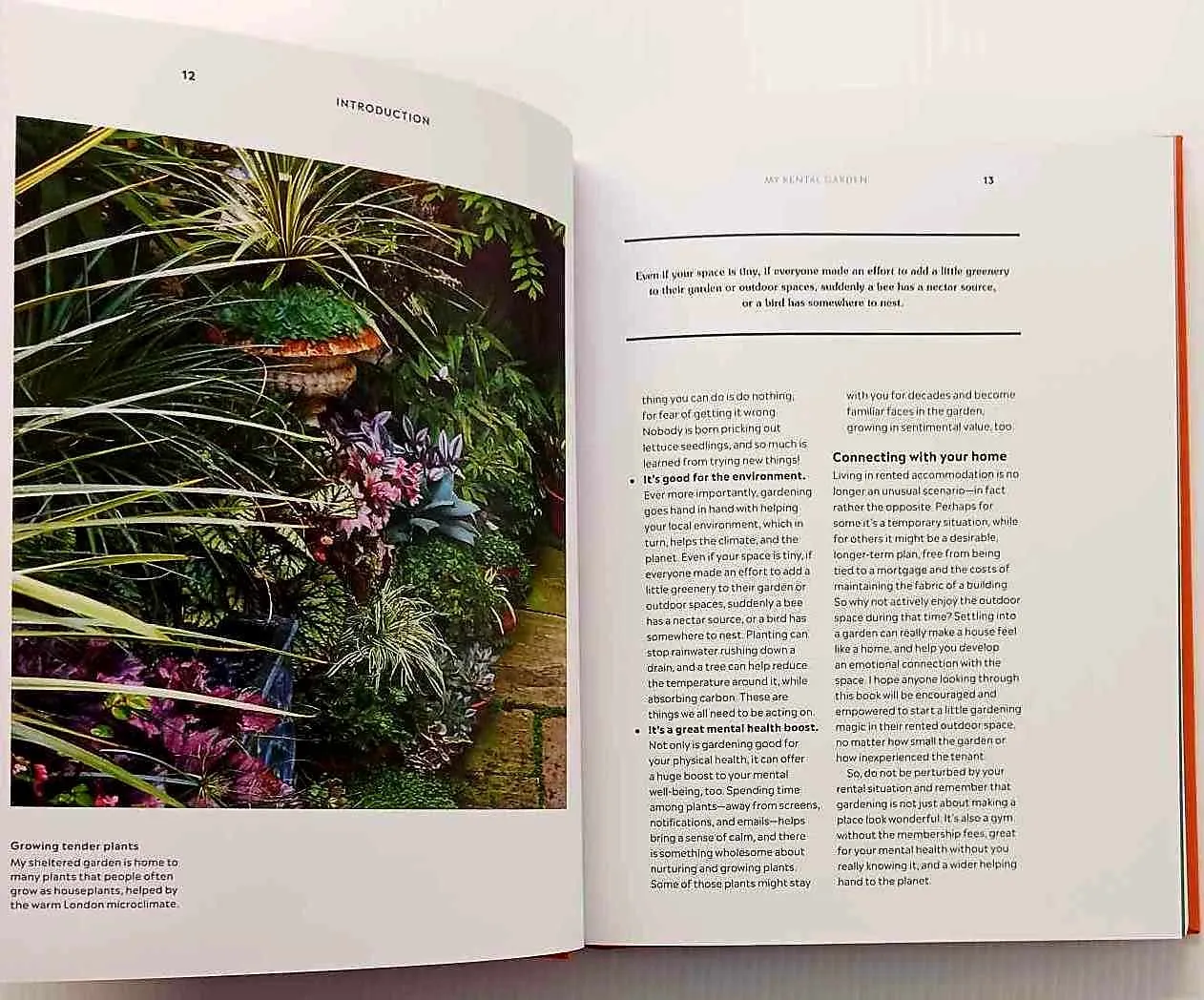 HOW TO GARDEN WHEN YOU RENT - Matthew Pottage