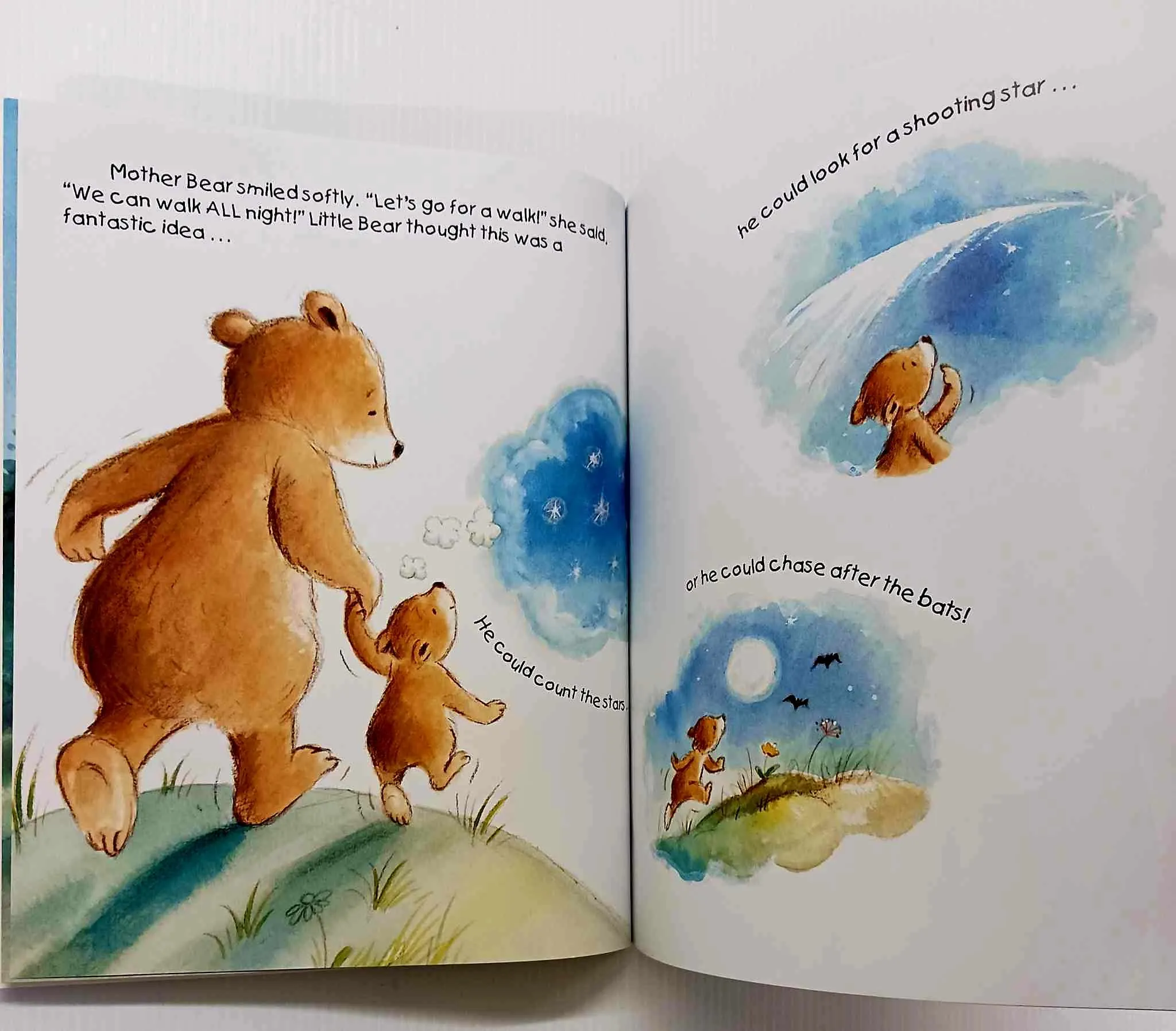 LITTLE BEAR WON'T SLEEP! - Christine Swift