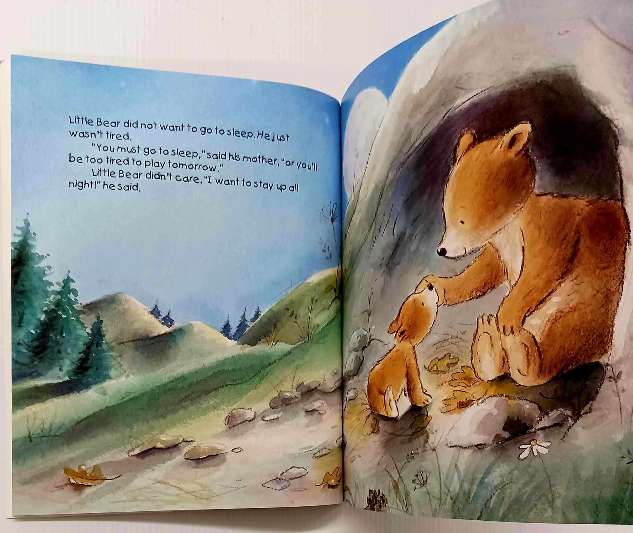 LITTLE BEAR WON'T SLEEP! - Christine Swift
