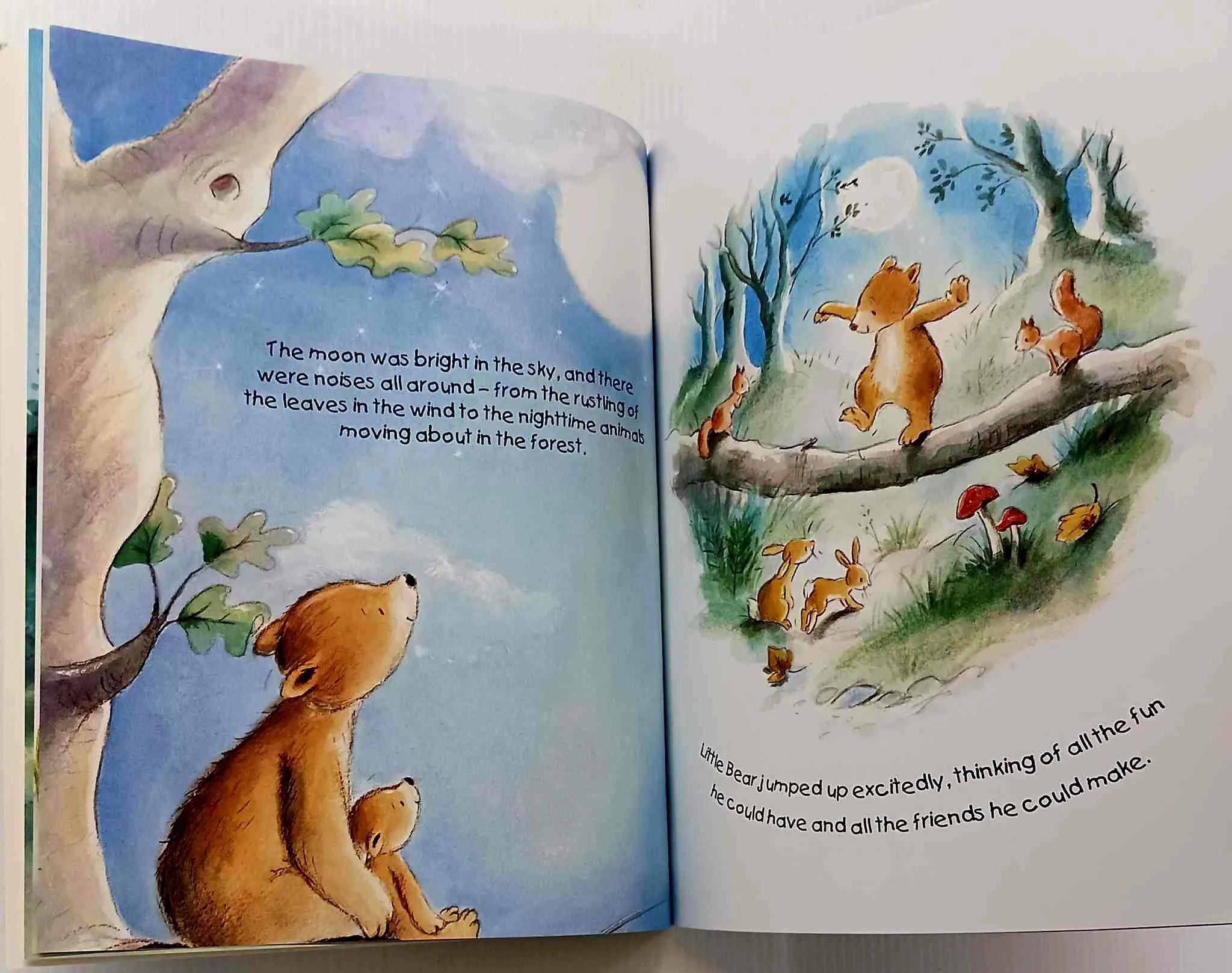 LITTLE BEAR WON'T SLEEP! - Christine Swift