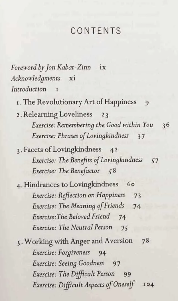 LOVINGKINDNESS - Sharon Salzberg