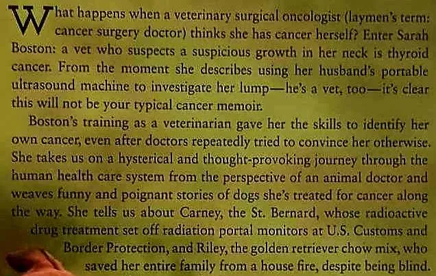 LUCKY DOG - Sarah Boston