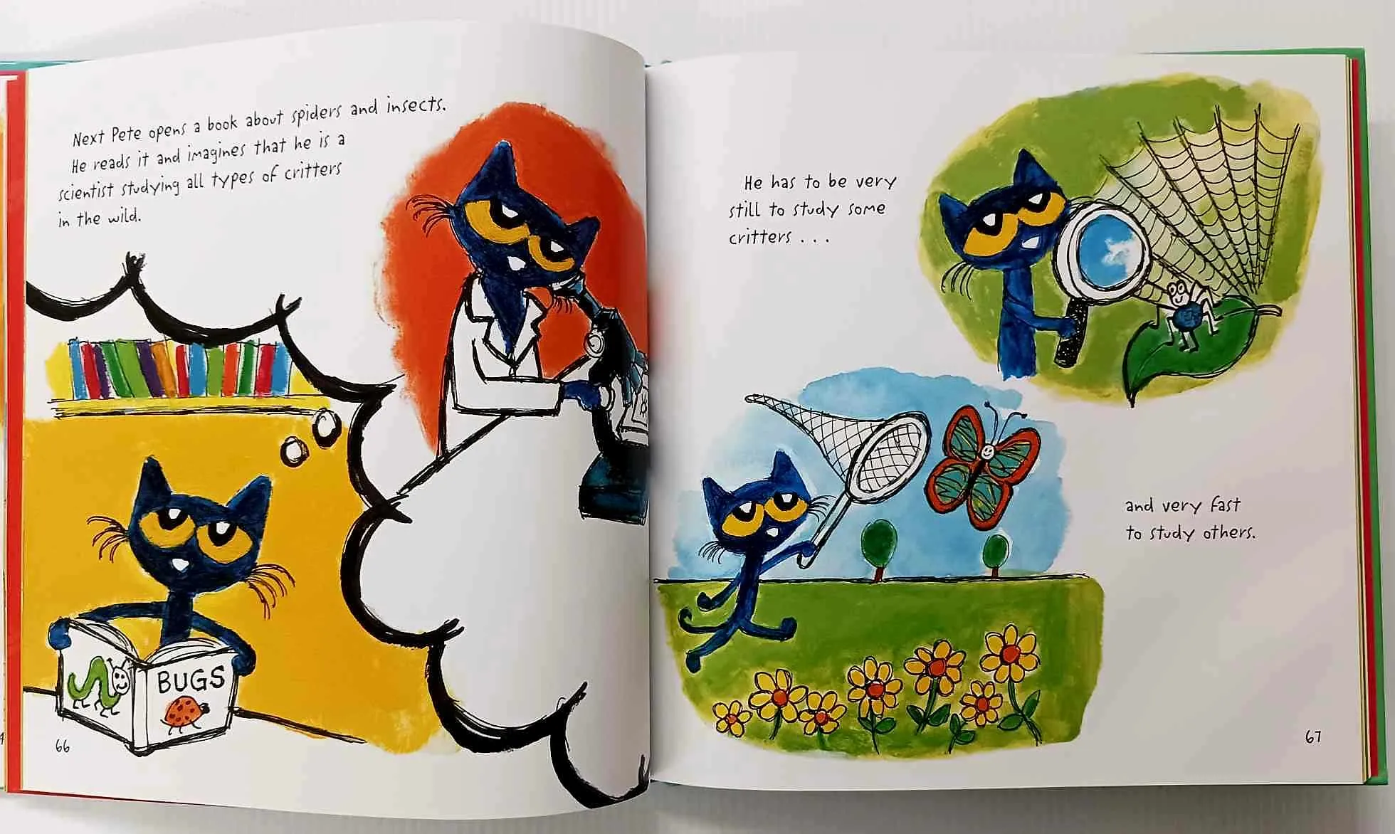 PETE THE CAT STORYBOOK FAVORITES - Kimberly Dean, James Dean