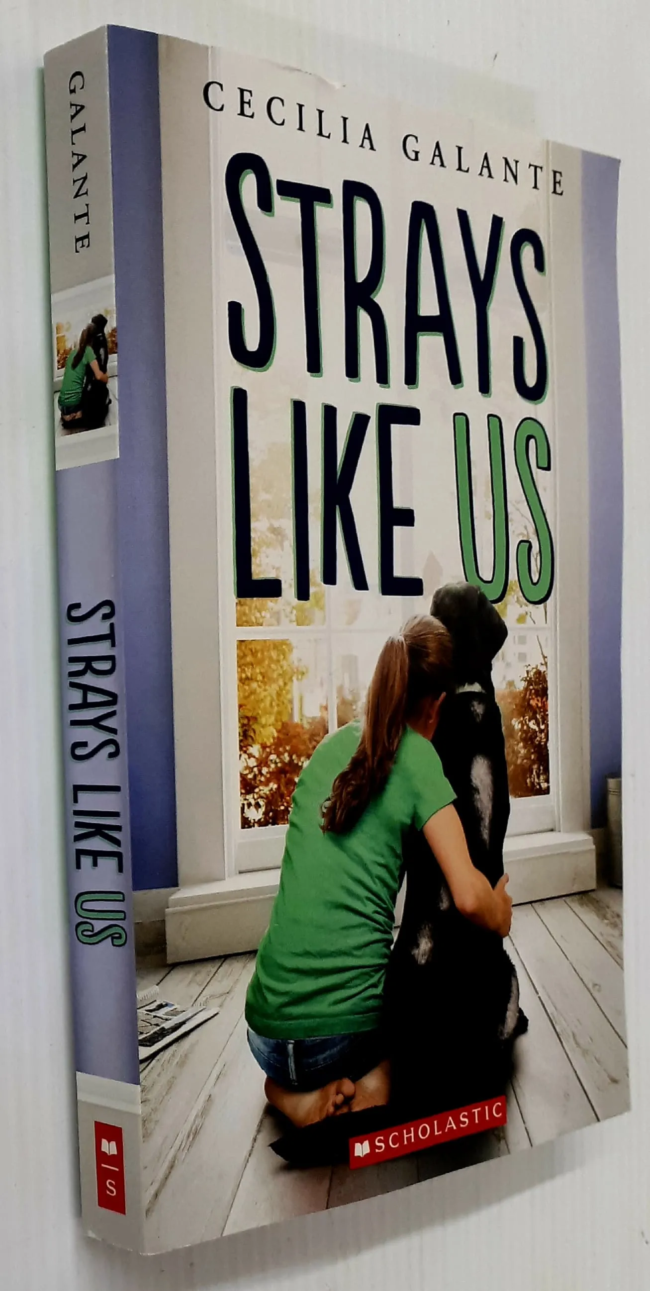 STRAYS LIKE US - Cecilia Galante