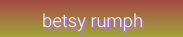 Betsy Rumph Official Webshop | Shop Fiction Online
